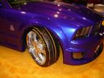 -Sema Show 2008 (50).JPG